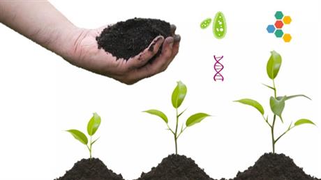 Kết nối ý tưởng: Sản xuất phân hữu cơ vi sinh từ phân gia súc